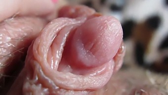 Up Close And Personal With My Massive Clit Head